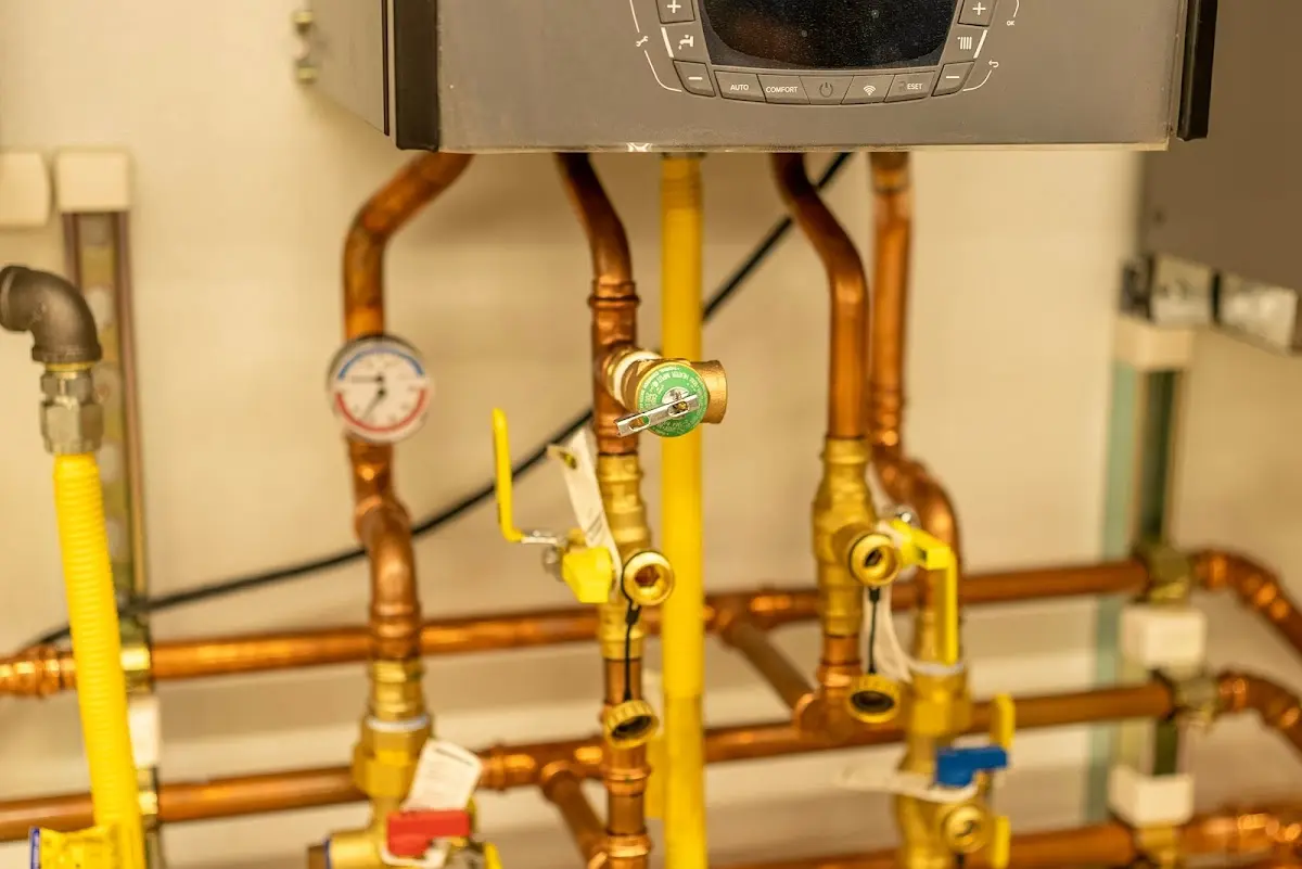 Licensed technician providing Sump Pump Repair for a homeowner in Cary